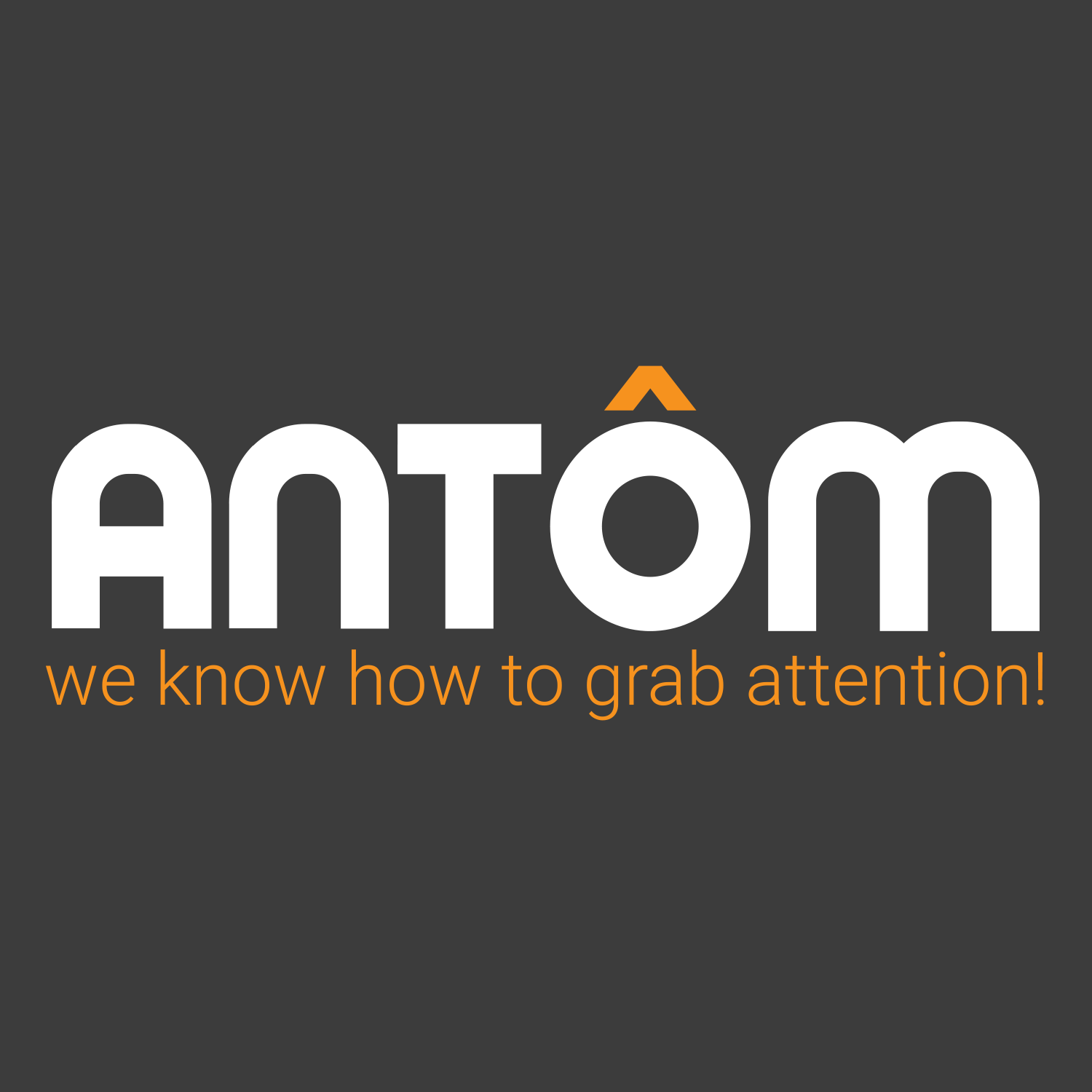 ANTOM GROUP logo